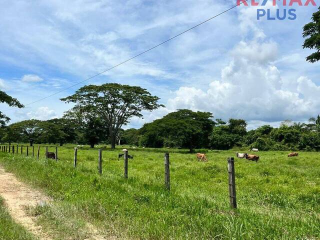 #18 - Quinta para Venta en Maracaibo - V