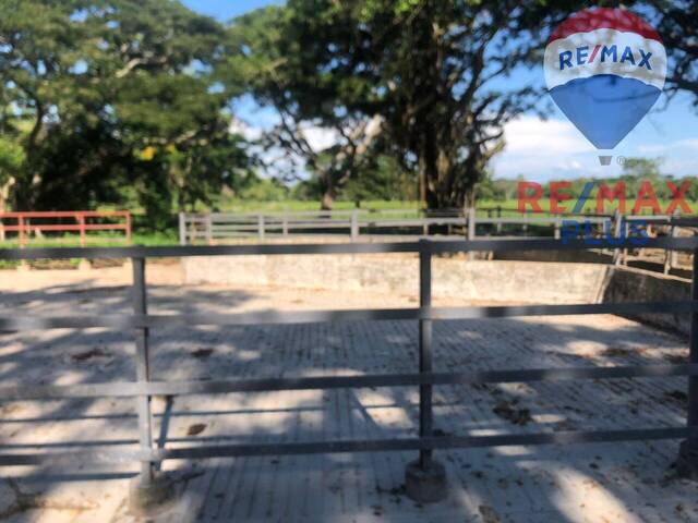 #18 - Quinta para Venta en Maracaibo - V