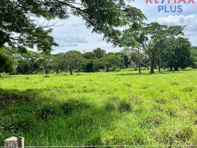 #18 - Quinta para Venta en Maracaibo - V