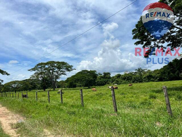 Quinta para Venta en Maracaibo - 5