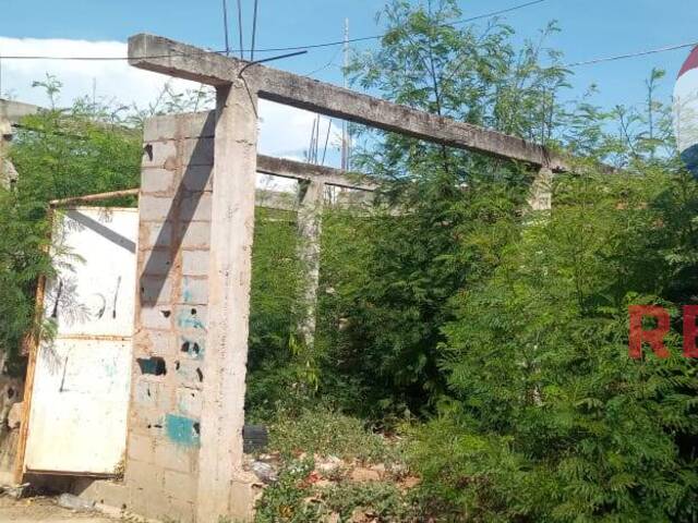 #428 - Área para Venta en Maracaibo - V - 3